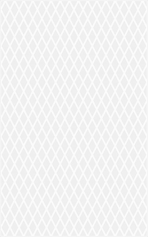 กระเบื้อง10x16 in. ไดมอนด์ ALL-100