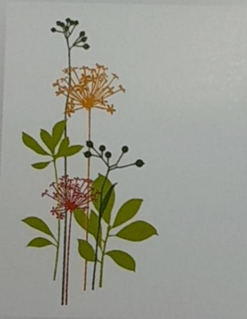 กระเบื้อง8x10 in. ซิลวี่ LR-111